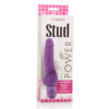 CALEXOTICS - VIBRADOR ROXO CLITERRÍFICO POWER STUD - Image 3